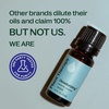 image:imagePlant Therapy Deodorizing Essential Oil Blend 10 mL Ideal for Cleaning033 Fl Oz Pack of 1