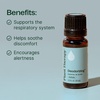 image:imagePlant Therapy Deodorizing Essential Oil Blend 10 mL Ideal for Cleaning033 Fl Oz Pack of 1