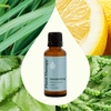 image:imagePlant Therapy Deodorizing Essential Oil Blend 10 mL Ideal for Cleaning1 Fl Oz Pack of 1