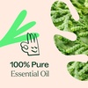 image:imagePlant Therapy Deodorizing Essential Oil Blend 10 mL Ideal for Cleaning1 Fl Oz Pack of 1