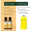 image:imagePlant Therapy Home Citrus Burst Blend All Natural MultiSurface Cleaner Concentrate Use to Clean Countertops Stovetops Tile Microwave 30 mL 2PackCitrus Burst