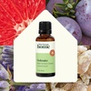 image:imagePlant Therapy Home Citrus Burst Blend All Natural MultiSurface Cleaner Concentrate Use to Clean Countertops Stovetops Tile Microwave 30 mL 2PackDefender