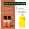 image:imagePlant Therapy Home Citrus Burst Blend All Natural MultiSurface Cleaner Concentrate Use to Clean Countertops Stovetops Tile Microwave 30 mL 2PackGerm Fighter