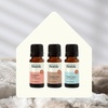 image:imagePlant Therapy Home Natural Fragrance Set of 3 Pearberry Lychee Whiskey Oak amp White Linen 10 mL 13 oz EachHome Aroma Trio