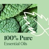 image:imagePlant Therapy Home Sparkling Laundry Essential Oil Blends Set of 3 Peppermint Grapefruit amp Lavender Pure Undiluted Wash Fragrance and Scent EnhancerPeppermint