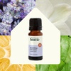 image:imagePlant Therapy Home Sparkling Laundry Essential Oil Blends Set of 3 Peppermint Grapefruit amp Lavender Pure Undiluted Wash Fragrance and Scent EnhancerSparkling Lavender
