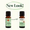 image:imagePlant Therapy Home Sparkling Laundry Essential Oil Blends Set of 3 Peppermint Grapefruit amp Lavender Pure Undiluted Wash Fragrance and Scent EnhancerPeppermint