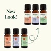 image:imagePlant Therapy Home Sparkling Laundry Essential Oil Blends Set of 3 Peppermint Grapefruit amp Lavender Pure Undiluted Wash Fragrance and Scent EnhancerSparking Laundry Set