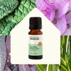 image:imagePlant Therapy Home Sparkling Laundry Essential Oil Blends Set of 3 Peppermint Grapefruit amp Lavender Pure Undiluted Wash Fragrance and Scent EnhancerPeppermint