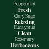 image:imagePlant Therapy Home Sparkling Laundry Essential Oil Blends Set of 3 Peppermint Grapefruit amp Lavender Pure Undiluted Wash Fragrance and Scent EnhancerPeppermint