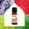 image:imagePlant Therapy Home Sparkling Laundry Essential Oil Blends Set of 3 Peppermint Grapefruit amp Lavender Pure Undiluted Wash Fragrance and Scent EnhancerGrapefruit