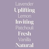 image:imagePlant Therapy Home Sparkling Laundry Essential Oil Blends Set of 3 Peppermint Grapefruit amp Lavender Pure Undiluted Wash Fragrance and Scent EnhancerSparkling Lavender