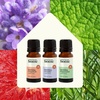 image:imagePlant Therapy Home Sparkling Laundry Essential Oil Blends Set of 3 Peppermint Grapefruit amp Lavender Pure Undiluted Wash Fragrance and Scent EnhancerSparking Laundry Set
