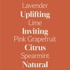 image:imagePlant Therapy Home Sparkling Laundry Essential Oil Blends Set of 3 Peppermint Grapefruit amp Lavender Pure Undiluted Wash Fragrance and Scent EnhancerGrapefruit