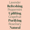 image:imagePlant Therapy Home Sparkling Laundry Essential Oil Blends Set of 3 Peppermint Grapefruit amp Lavender Pure Undiluted Wash Fragrance and Scent EnhancerSparking Laundry Set