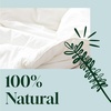 image:imagePlant Therapy Home White Linen Spray Clean amp Refreshing Aroma Great for Sheets Curtains and Upholstery Oneofakind Natural Fragrance 8 ozWhite Linen
