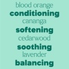 image:imagePlant Therapy Kids Detangler FrizzTaming Spray 8 oz Smooth Soften amp Detangle Paraben amp Synthetic Fragrance Free Vegan Argan Jojba amp Aloe VeraShine  Soothe