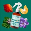 image:imagePlant Therapy Kids Detangler FrizzTaming Spray 8 oz Smooth Soften amp Detangle Paraben amp Synthetic Fragrance Free Vegan Argan Jojba amp Aloe VeraShine  Soothe
