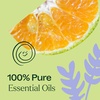 image:imagePlant Therapy Kids Itch Away PreDiluted Essential Oil RollOn 10 mLLavender  Mandarin  Ylang Ylang  Neroli  Hops