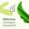 image:imagePlant Therapy Kids Itch Away PreDiluted Essential Oil RollOn 10 mLLemongrass