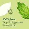 image:imagePlant Therapy Kids Itch Away PreDiluted Essential Oil RollOn 10 mLPeppermint