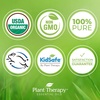 image:imagePlant Therapy Kids Itch Away PreDiluted Essential Oil RollOn 10 mLSandalwood