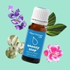 image:imagePlant Therapy Kids Sneezy Stop Essential Oil Blend 10 mL 13 oz 100 Pure Undiluted for Respiratory Support Congestion Relief Seasonal Pollen ConcernsSneezy Stop