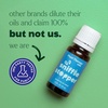image:imagePlant Therapy Kids Sniffle Stopper Essential Oil Blend 30 mL 1 oz Respiratory Support Blend Breathe Easier Chest Rub 100 Pure Undiluted Natural Aromatherapy033 Fl Oz Pack of 1