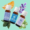 image:imagePlant Therapy Kids The Essentials Blend Set 10 mL 13 oz Each Made with 100 Pure Undiluted Essential Oils KidSafe Essential Oils for Calming Sleep and Immune SupportThe Essentials KidSafe Set
