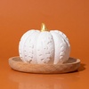 image:imagePlant Therapy Lava Rock Passive Diffuser for Essential OilsPumpkin