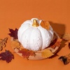 image:imagePlant Therapy Passive Lotus Flower Aromatherapy Essential Oil DiffuserPumpkin