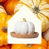image:imagePlant Therapy Passive Lotus Flower Aromatherapy Essential Oil DiffuserPumpkin