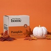 image:imagePlant Therapy Passive Lotus Flower Aromatherapy Essential Oil DiffuserPumpkin