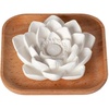 image:imagePlant Therapy Lava Rock Passive Diffuser for Essential OilsLotus Flower