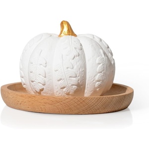image:imagePlant Therapy Passive Lotus Flower Aromatherapy Essential Oil DiffuserPumpkin