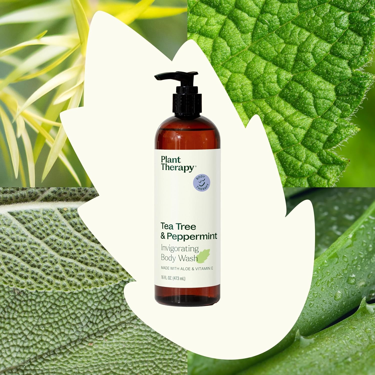 image:imagePlant Therapy Lavender Sandalwood Natural Body Wash 16 oz For all Skin Types Sulfate Free Body Wash For Men or Women Relaxing AllNatural Aroma Lush Hydrating Lather Cleanses amp Soothes SkinTea Tree  Peppermint