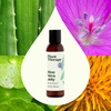 image:imagePlant Therapy Aloe Vera Jelly 16 oz All Natural After Sun Skin Care Lightweight Hydration for Face amp Body4 Fl Oz Pack of 1