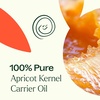 image:imagePlant Therapy Apricot Kernel Carrier Oil 4 oz Natural Base for Diluting Essential Oils Use for Aromatherapy or DIY MassageApricot Kernel
