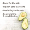 image:imagePlant Therapy Avocado Carrier Oil 4 oz for Skin and Hair Supports Moisturizing Skin Hair Softness and Dry Scalp Base Oil for Aromatherapy Essential Oil and MassagesFruit