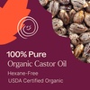 image:imagePlant Therapy Castor Oil USDA Organic Cold Pressed 100 Pure Hexane Free 16 oz Conditioning amp Healing For Dry Skin Hair Growth Eyelashes128 Fl Oz Pack of 1