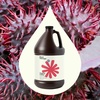image:imagePlant Therapy Castor Oil USDA Organic Cold Pressed 100 Pure Hexane Free 16 oz Conditioning amp Healing For Dry Skin Hair Growth Eyelashes128 Fl Oz Pack of 1