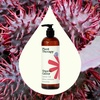 image:imagePlant Therapy Castor Oil USDA Organic Cold Pressed 100 Pure Hexane Free 16 oz Conditioning amp Healing For Dry Skin Hair Growth Eyelashes16 Fl Oz Pack of 1