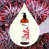 image:imagePlant Therapy Castor Oil USDA Organic Cold Pressed 100 Pure Hexane Free 16 oz Conditioning amp Healing For Dry Skin Hair Growth Eyelashes32 Fl Oz Pack of 1