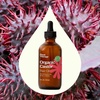 image:imagePlant Therapy Castor Oil USDA Organic Cold Pressed 100 Pure Hexane Free 16 oz Conditioning amp Healing For Dry Skin Hair Growth Eyelashes4 Fl Oz Pack of 1