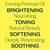 image:imagePlant Therapy Evening Primrose Carrier Oil 4 oz Base Oil for Aromatherapy Essential Oil or Massage use4 Fl Oz Pack of 1
