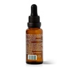 image:imagePlant Therapy Facial Serum with Vitamin C amp Hyaluronic Acid 4 oz with Hyaluronic Acid Ferulic Acid and Vitamin E Reduces the Appearance of Fine Lines amp WrinklesRosehip  Arnica 1 oz