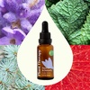 image:imagePlant Therapy Hair Therapy Strengthen amp Grow Hair Repair Serum 1 oz with Argan amp Castor OilSoothe  Detoxify Scalp Serum