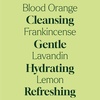image:imagePlant Therapy Home Lavender Rosemary Foaming Hand Soap Refill 32 oz Refreshing amp Natural Herbal Scent Gentle PlantBased Ingredients Enough for Four 8 Oz Bottles Scented with Pure Essential OilsDefender