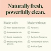 image:imagePlant Therapy Home Lavender Rosemary Foaming Hand Soap Refill 32 oz Refreshing amp Natural Herbal Scent Gentle PlantBased Ingredients Enough for Four 8 Oz Bottles Scented with Pure Essential OilsGerm Fighter