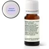 image:imagePlant Therapy KidSafe Sweet Slumber Essential Oil Blend 10 mL 13 oz 100 Pure Undiluted Relaxing Aromatherapy for Better Sleep033 Fl Oz Pack of 1